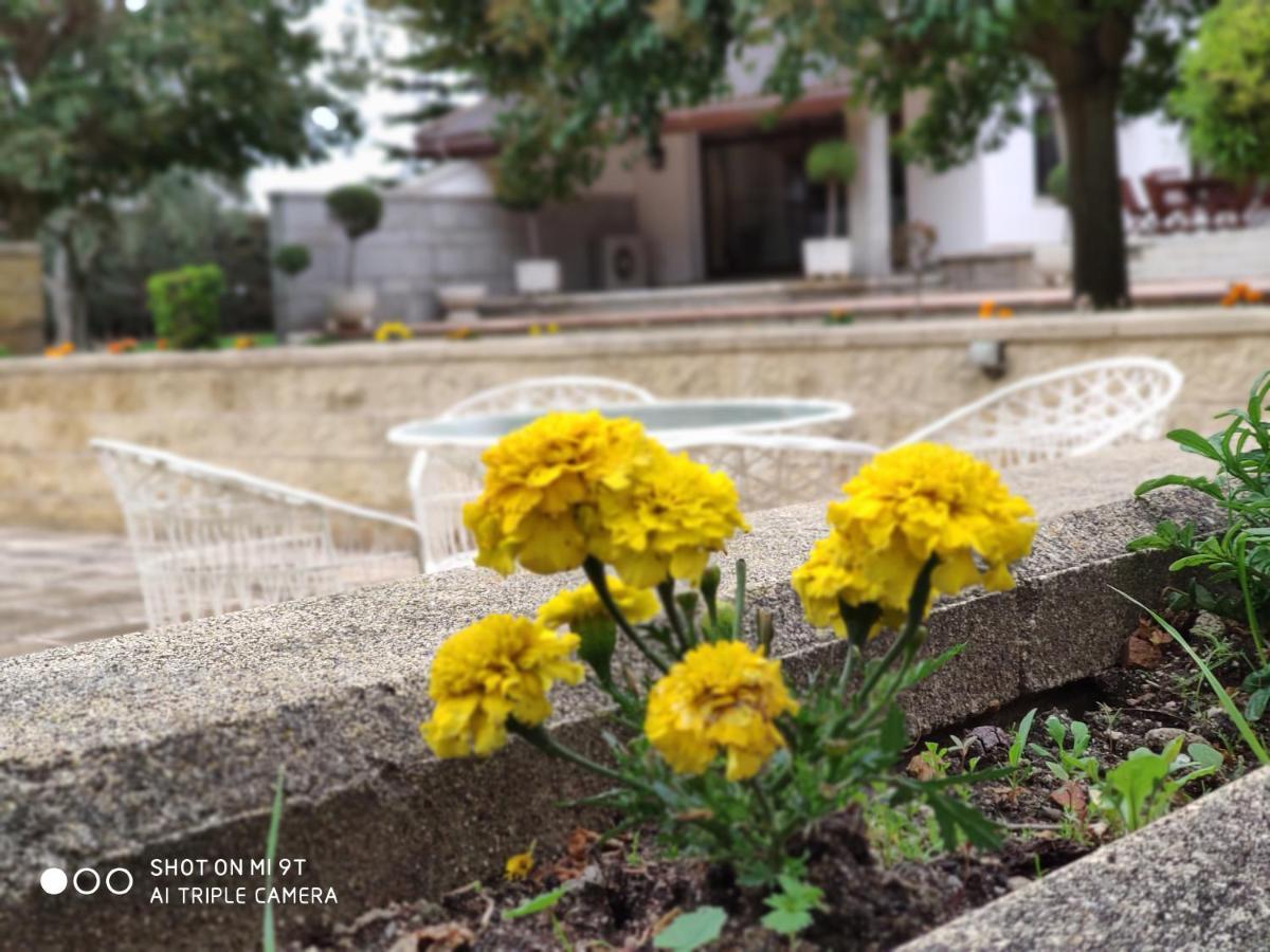 Villa Blanca Con Piscina A 15 Minutos De Toledo - Apartamentos Aloha Toledo Olías del Rey Eksteriør bilde